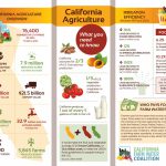 California Agriculture Fact Sheet