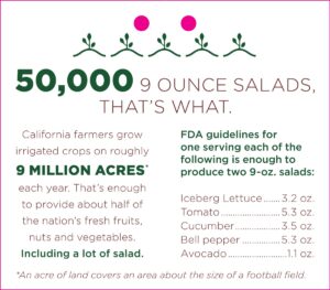One-Acre-Salad-p2